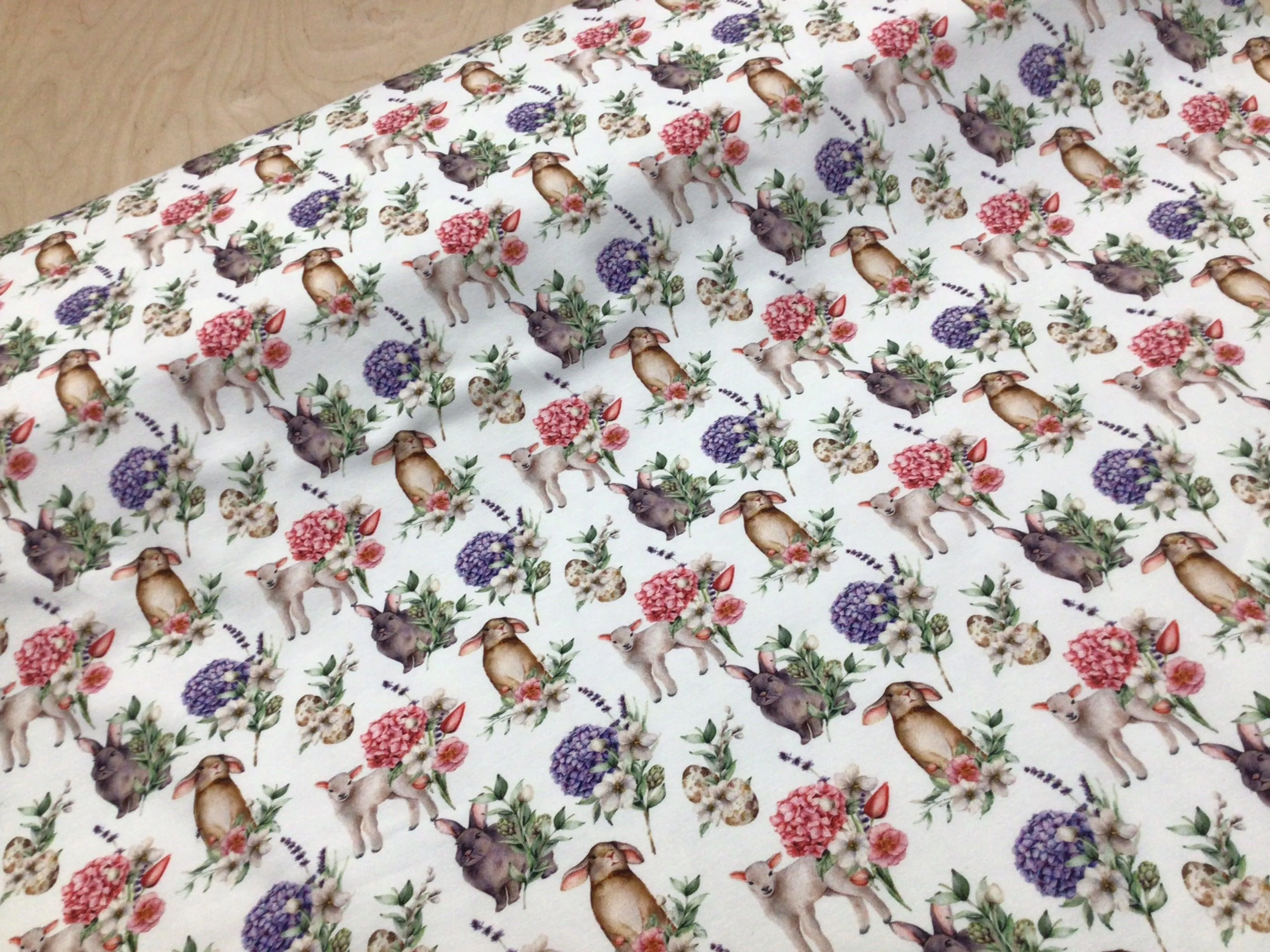 BOLT END- 1.7M Spring Lambs Cotton Jersey Fabric