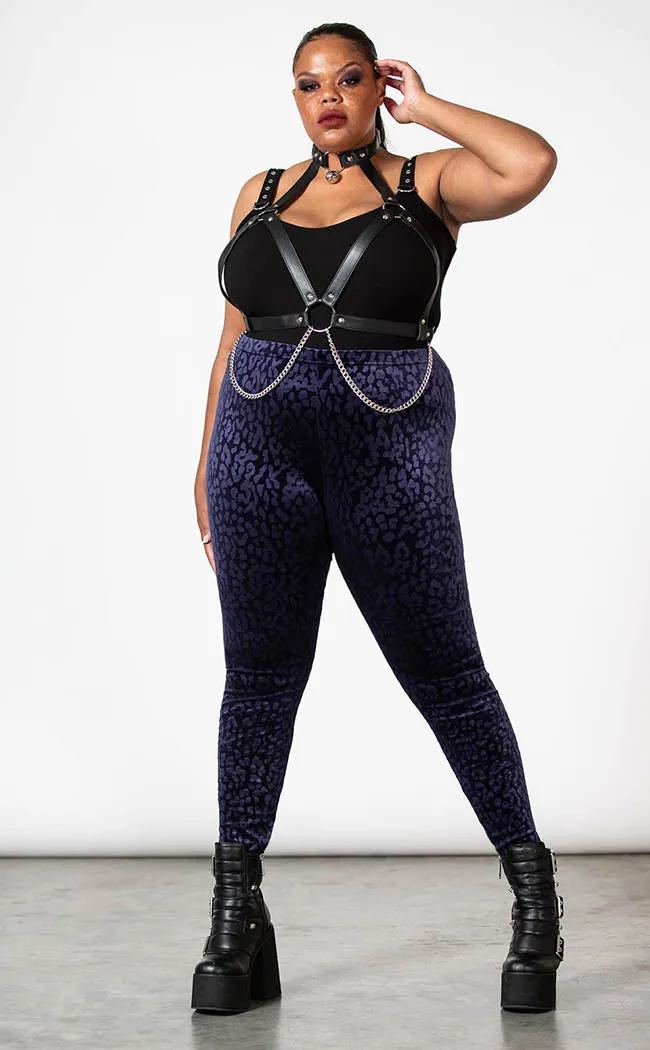 Caturday Leggings | Plum [Plus-Size]