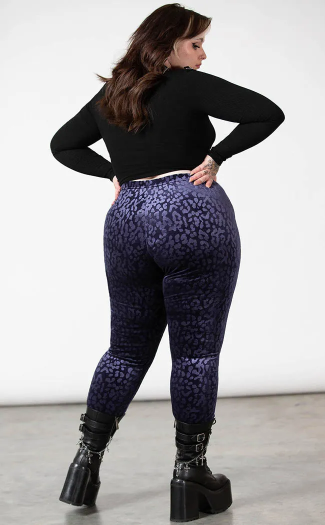 Caturday Leggings | Plum [Plus-Size]