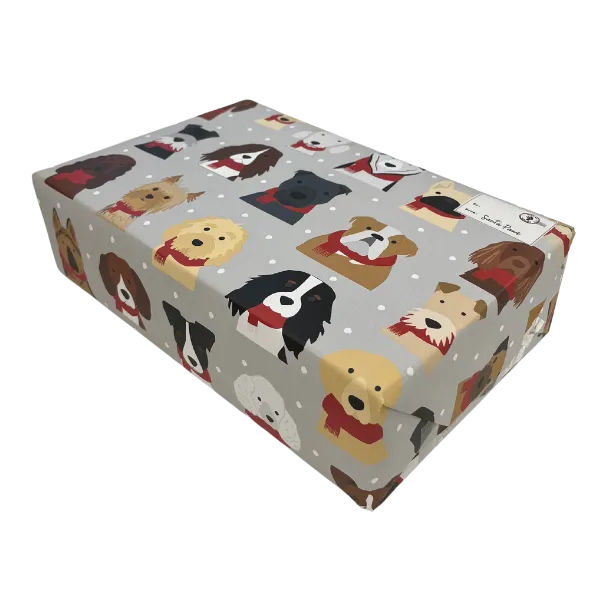 Christmas Gift Box for Dogs