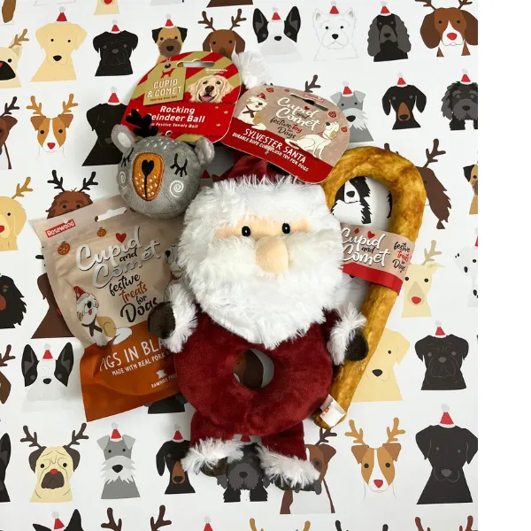 Christmas Gift Box for Dogs