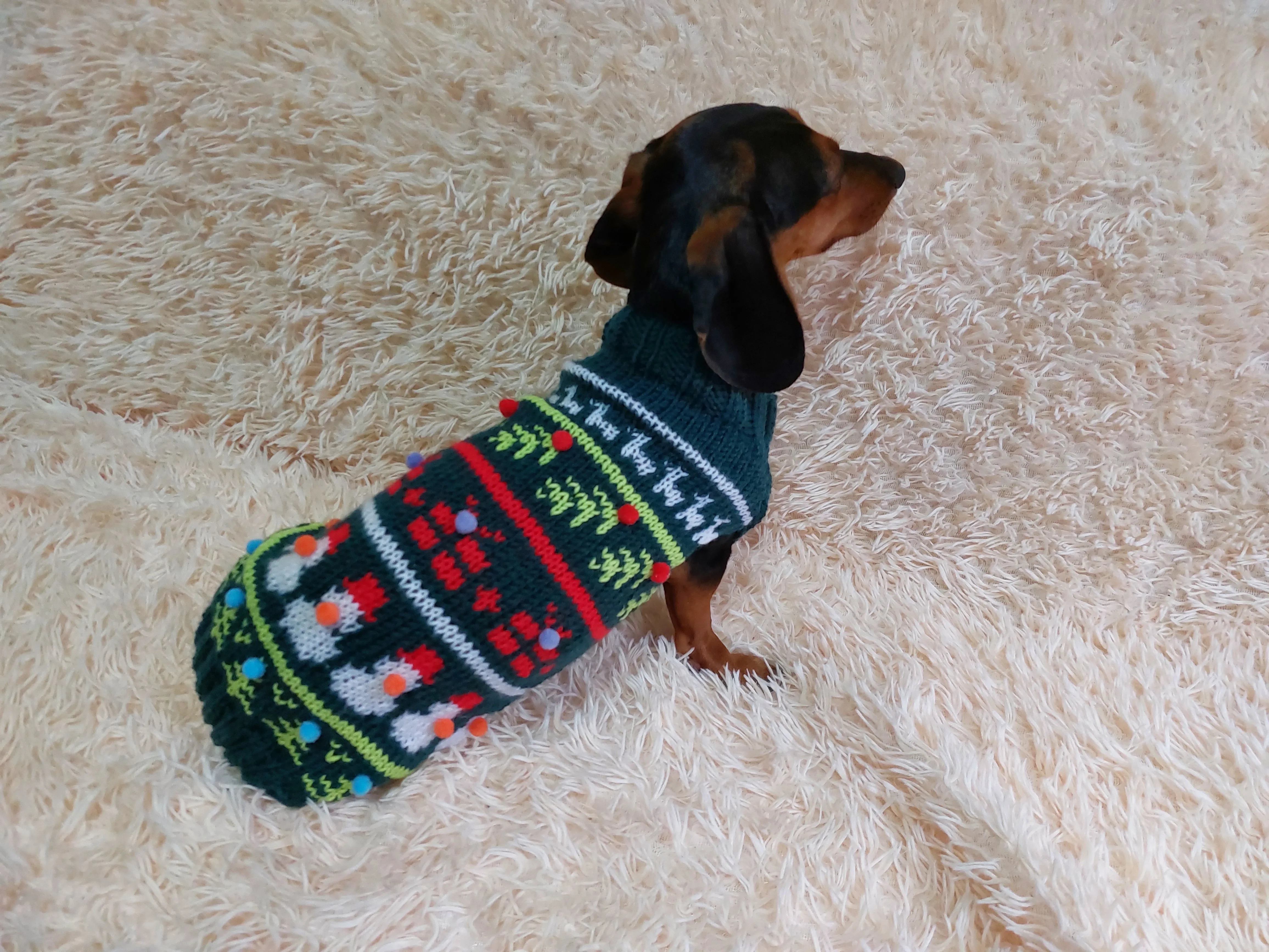 Christmas pet outfit, christmas jumper dog photoshoot,christmas gift for dog lover,dachshund christmas clothes