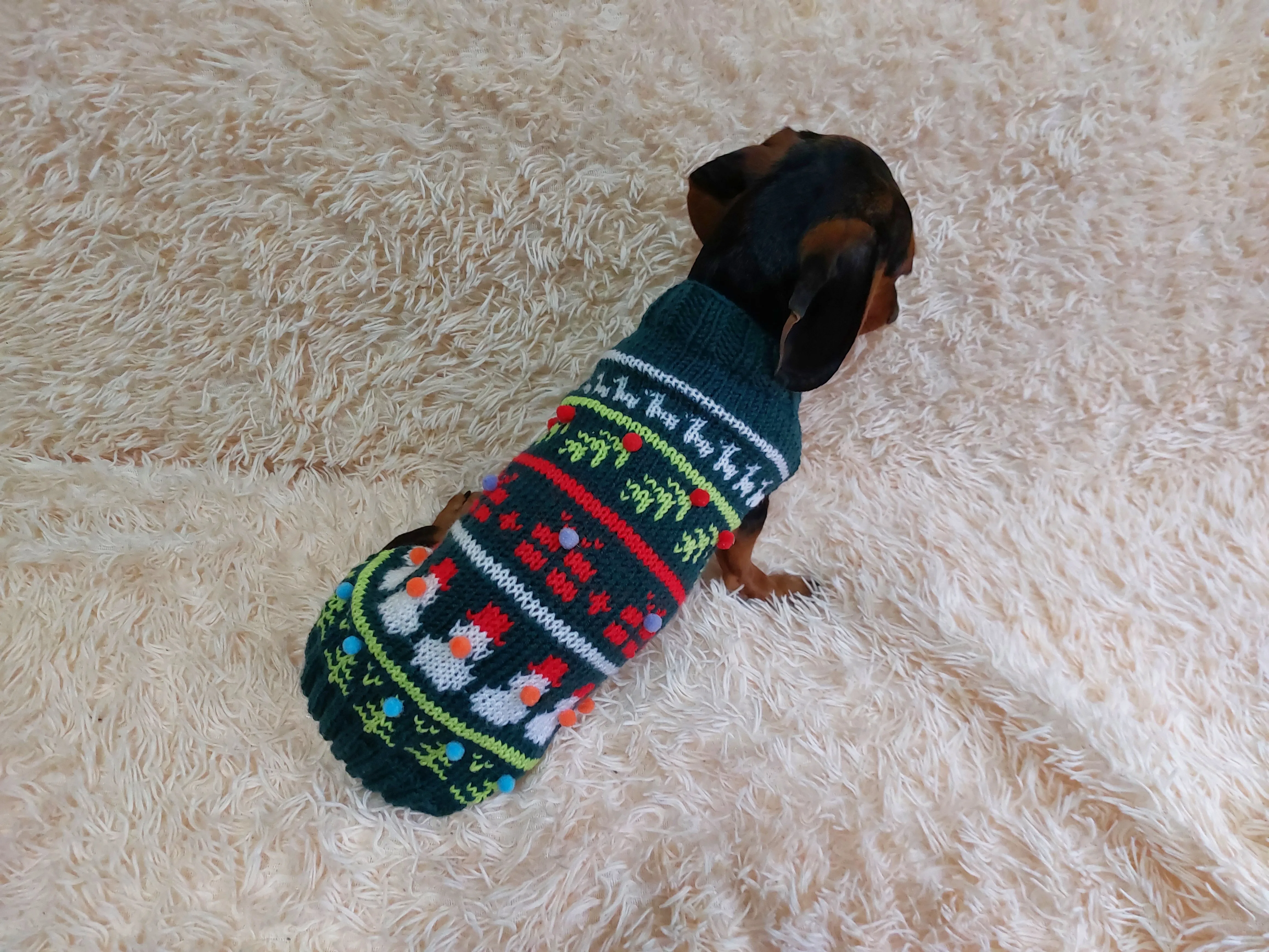 Christmas pet outfit, christmas jumper dog photoshoot,christmas gift for dog lover,dachshund christmas clothes