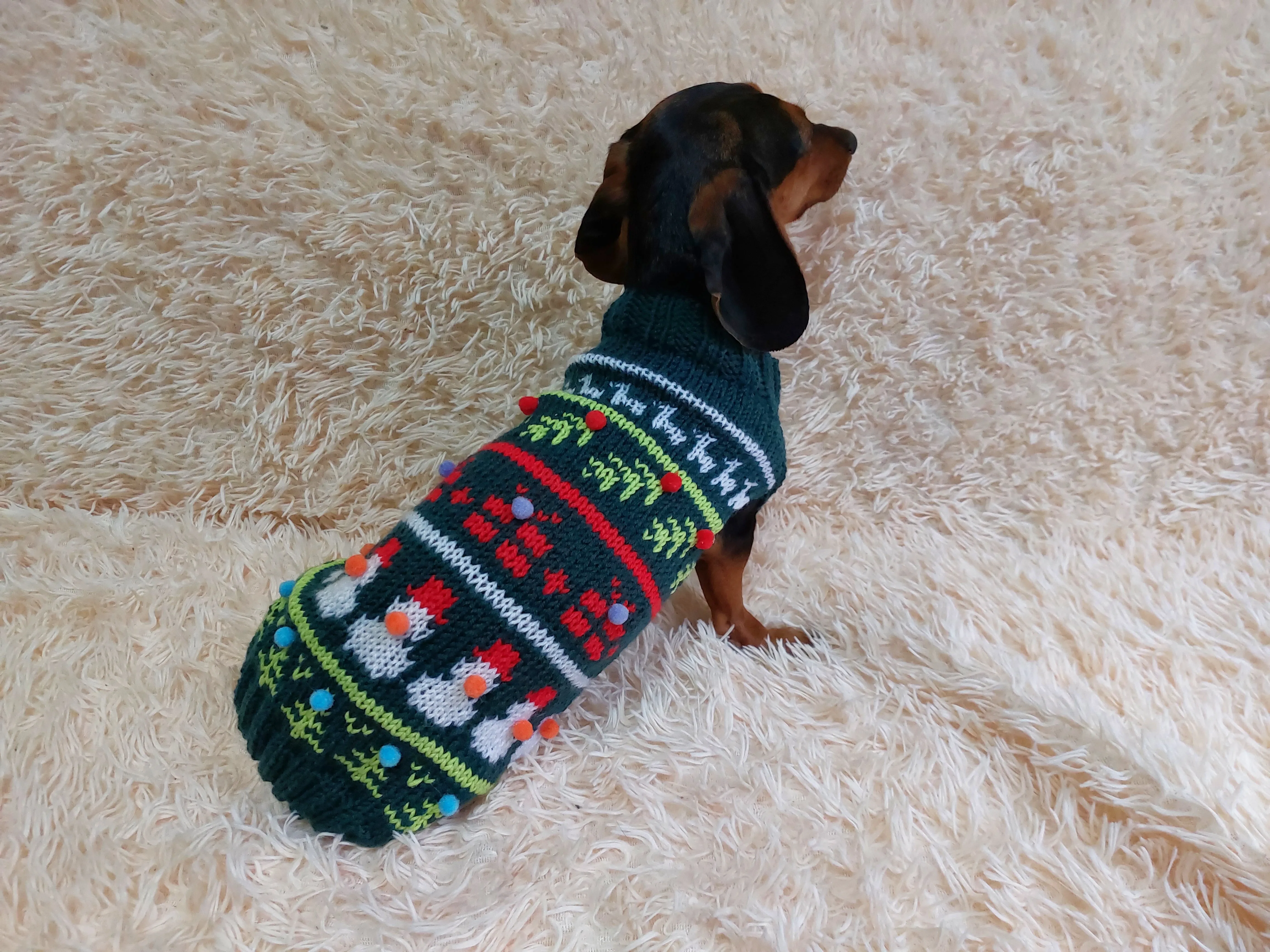 Christmas pet outfit, christmas jumper dog photoshoot,christmas gift for dog lover,dachshund christmas clothes