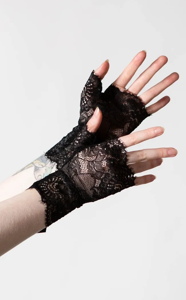 Embrace the Night Lace Gloves | Black