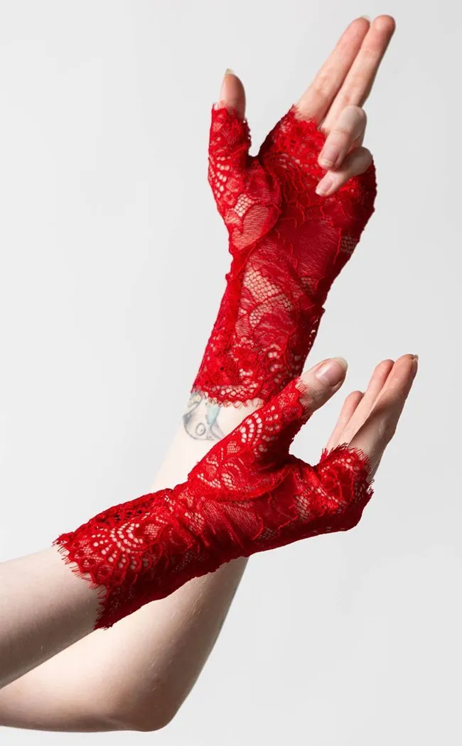 Embrace the Night Lace Gloves | Scarlet