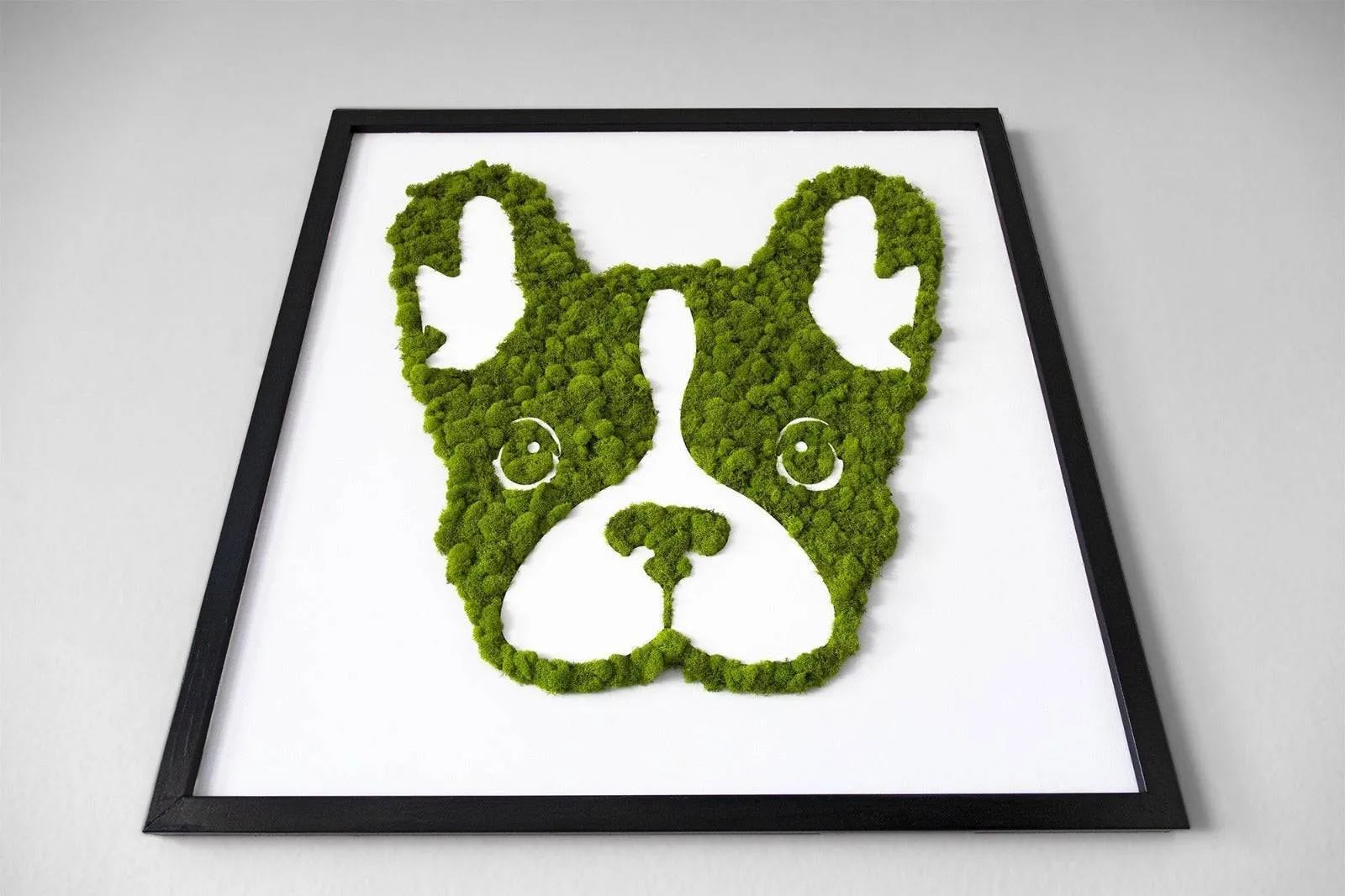 French Bulldog Moss Wall Art