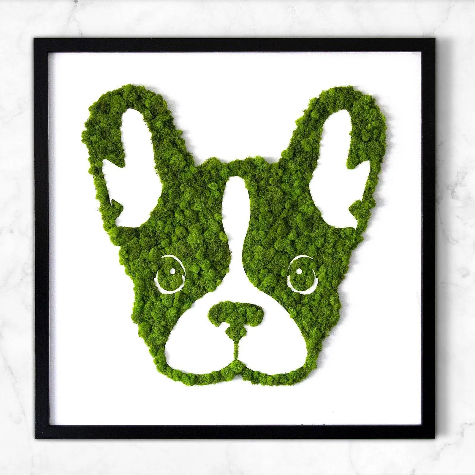 French Bulldog Moss Wall Art