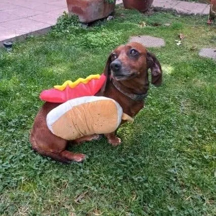 Hot Dog Dachshund Costume