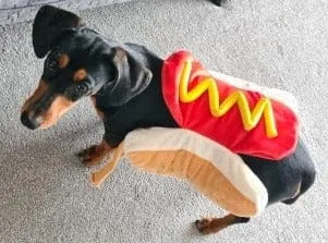 Hot Dog Dachshund Costume