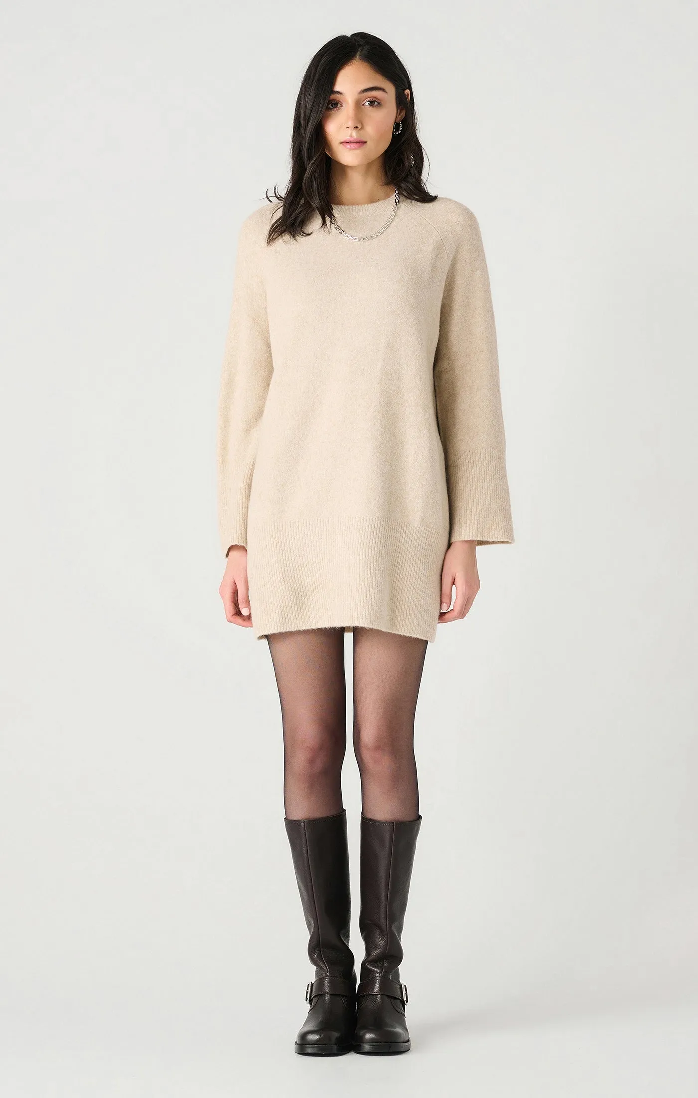 Ls Crewneck Mini Sweater Dress