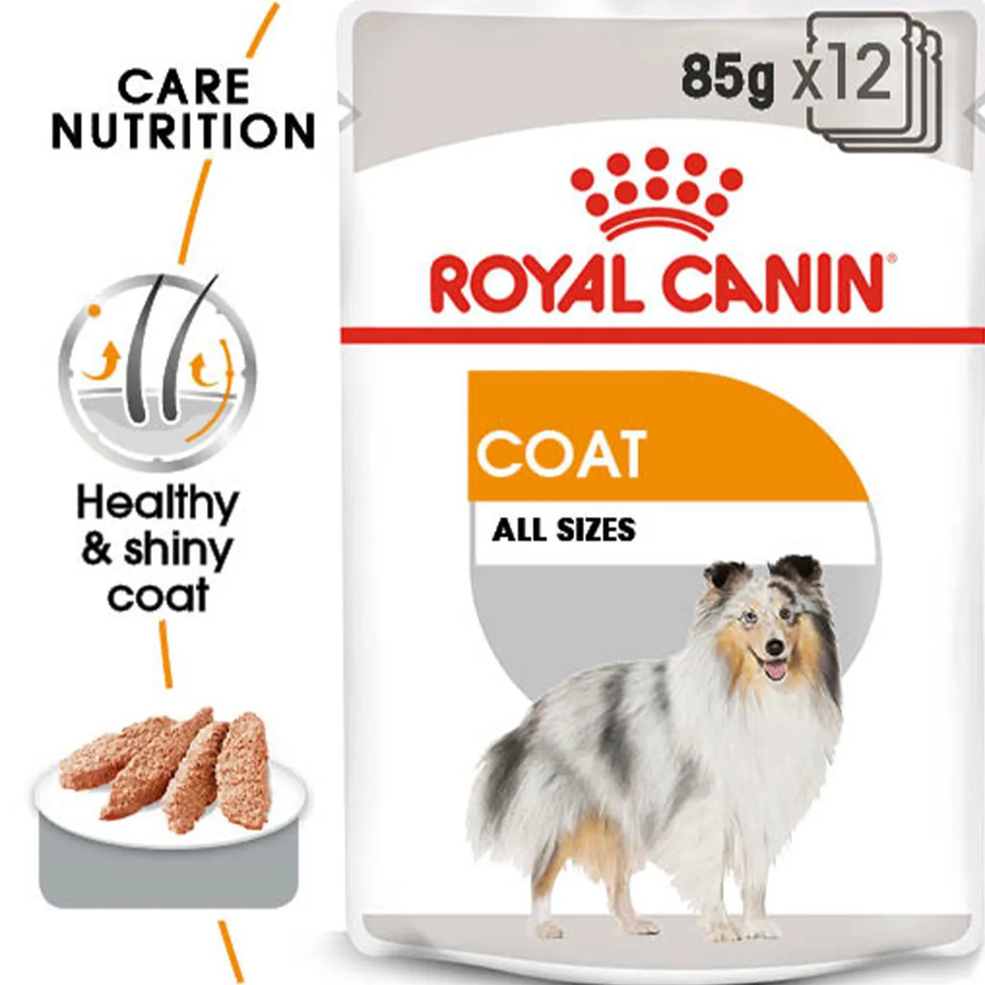 Royal Canin Coat Care Wet Adult Dog Food (Case of 12)