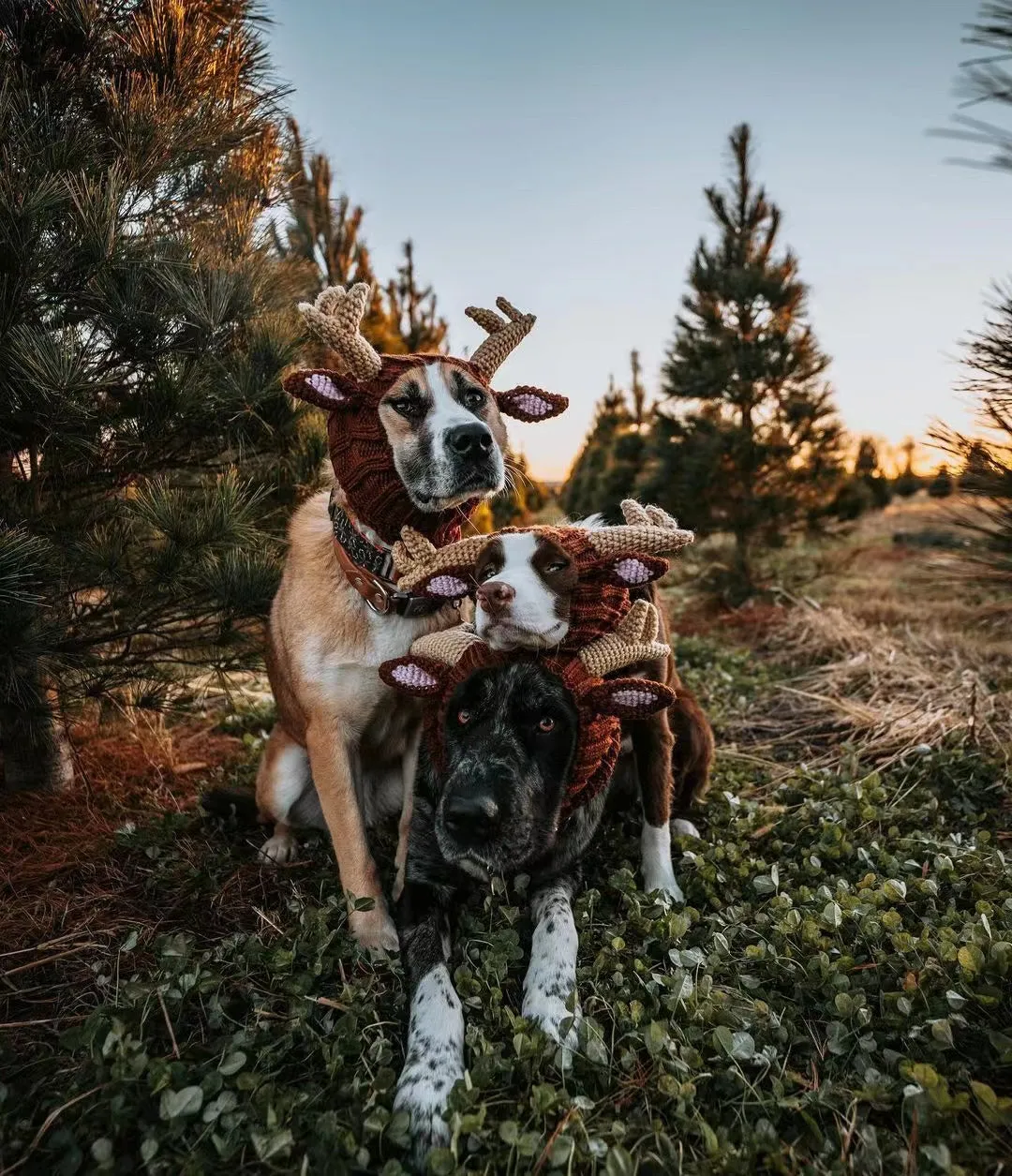 SNOOD - REINDEER