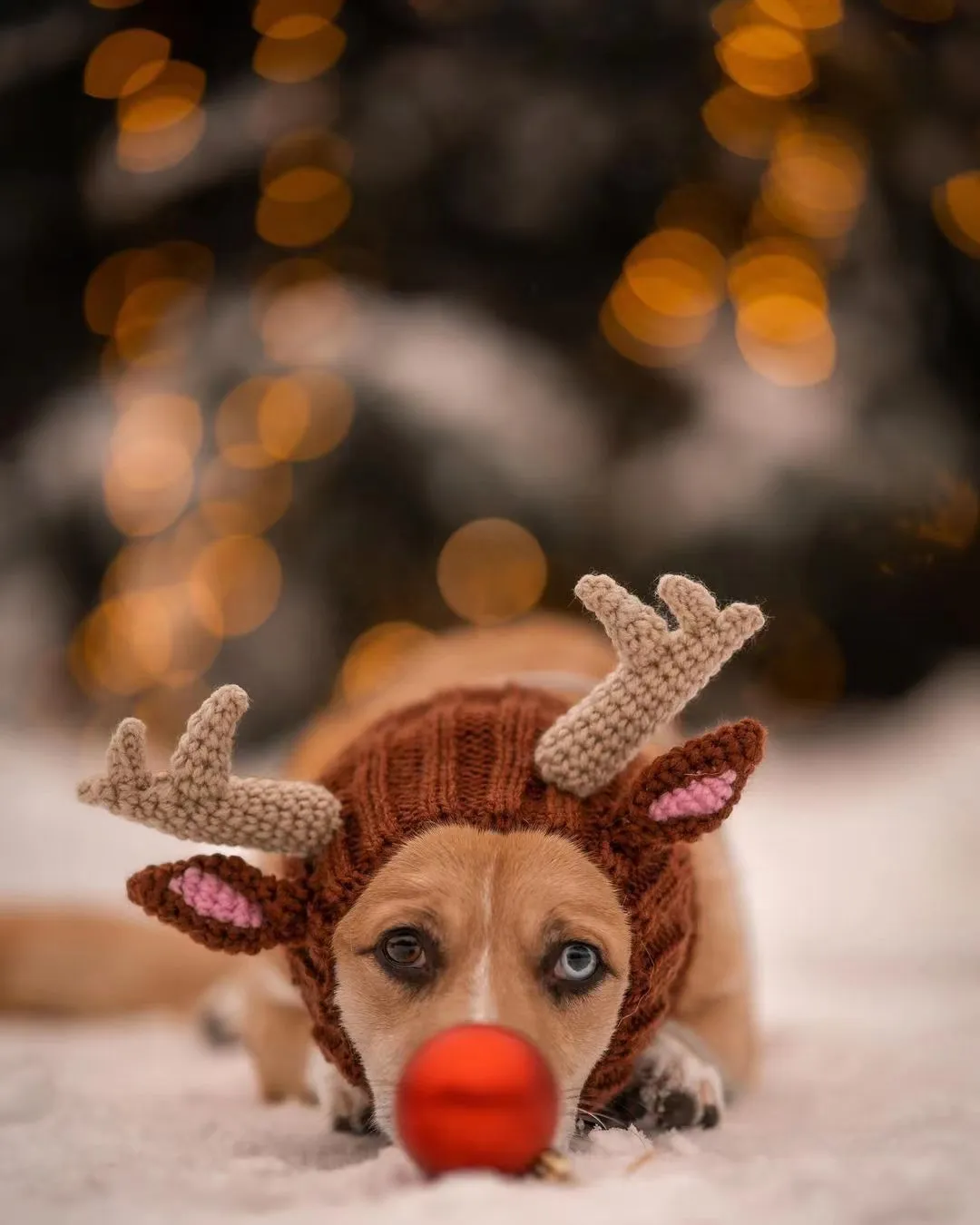 SNOOD - REINDEER