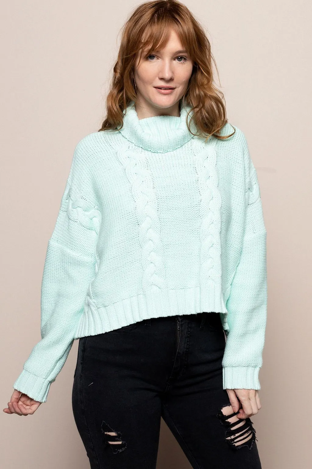 Yara Turtleneck in Mint